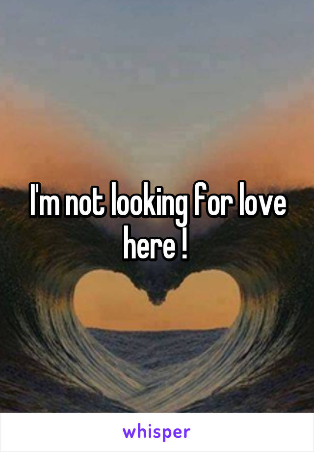 I'm not looking for love here ! 