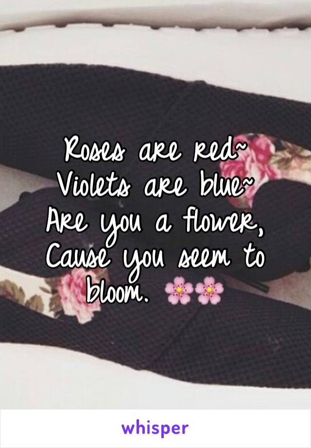 Roses are red~
Violets are blue~
Are you a flower,
Cause you seem to bloom. 🌸🌸