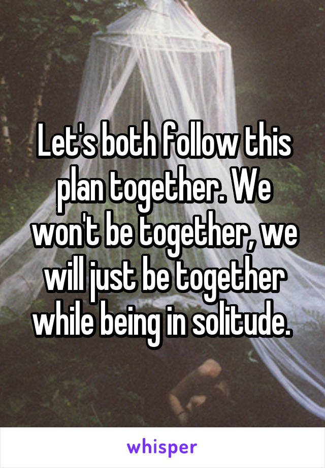 Let's both follow this plan together. We won't be together, we will just be together while being in solitude. 