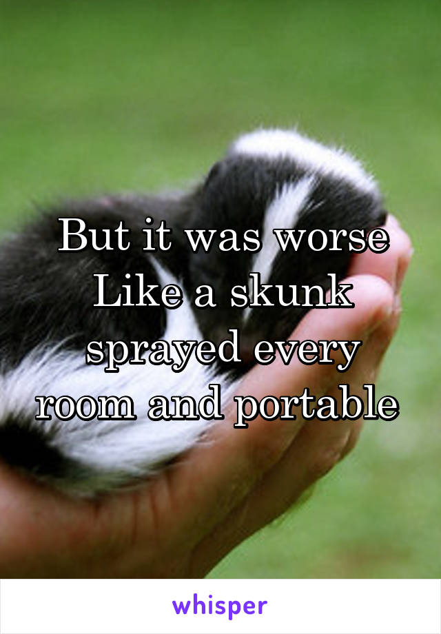But it was worse
Like a skunk sprayed every room and portable 