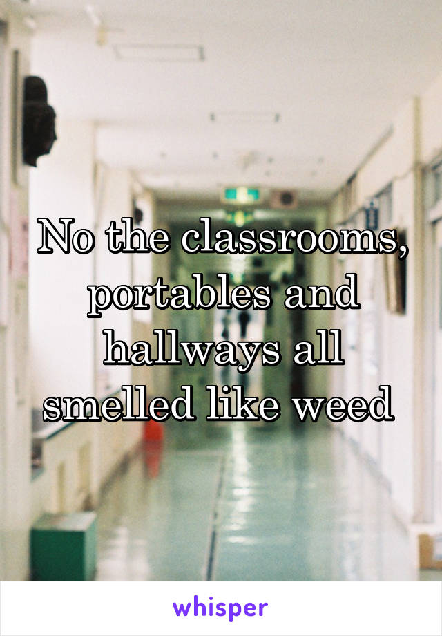 No the classrooms, portables and hallways all smelled like weed 