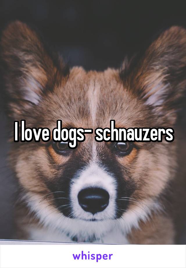 I love dogs- schnauzers
