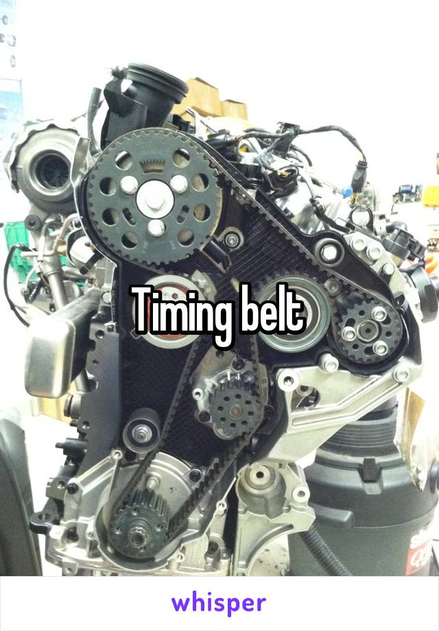 Timing belt 