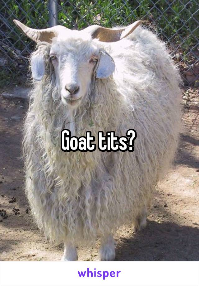 Goat tits? 