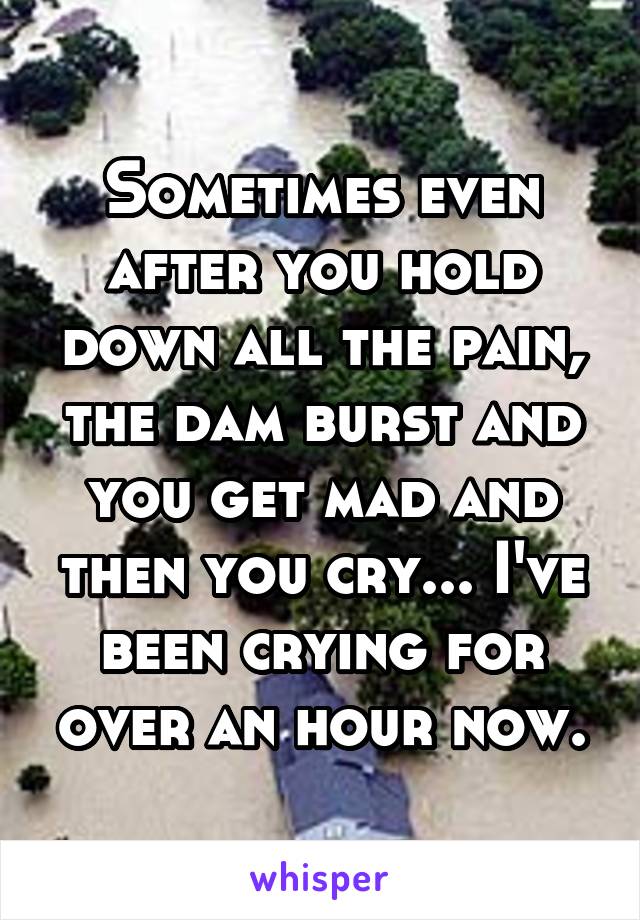 Sometimes even after you hold down all the pain, the dam burst and you get mad and then you cry... I've been crying for over an hour now.