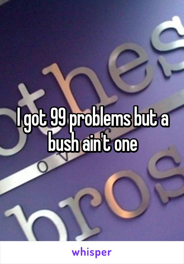 I got 99 problems but a bush ain't one