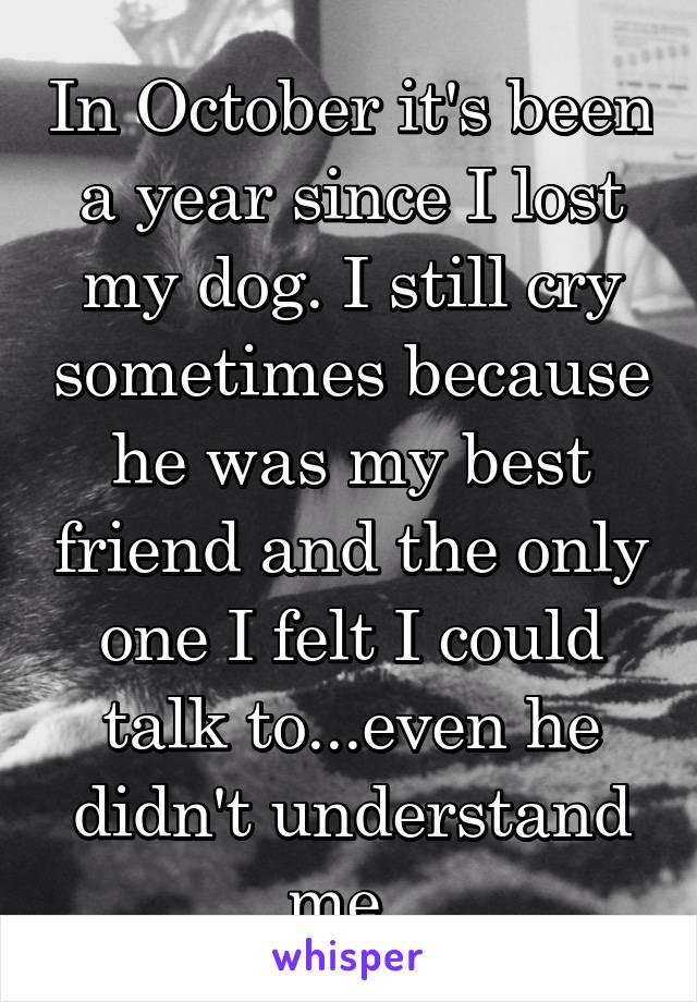In October it's been a year since I lost my dog. I still cry sometimes because he was my best friend and the only one I felt I could talk to...even he didn't understand me. 