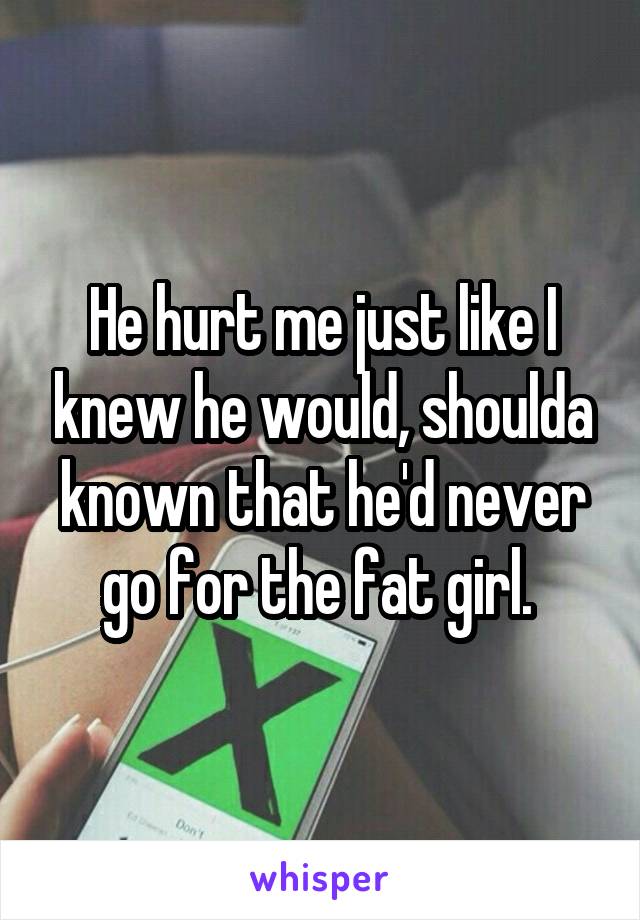 He hurt me just like I knew he would, shoulda known that he'd never go for the fat girl. 