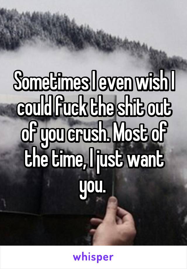 Sometimes I even wish I could fuck the shit out of you crush. Most of the time, I just want you. 