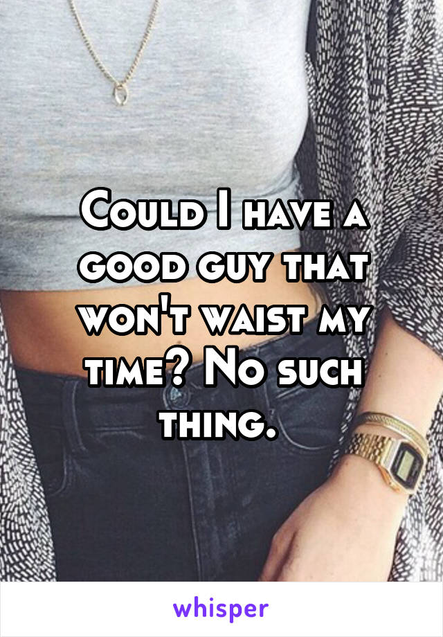 Could I have a good guy that won't waist my time? No such thing. 