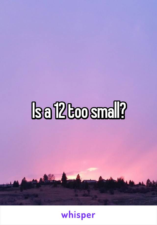 Is a 12 too small?