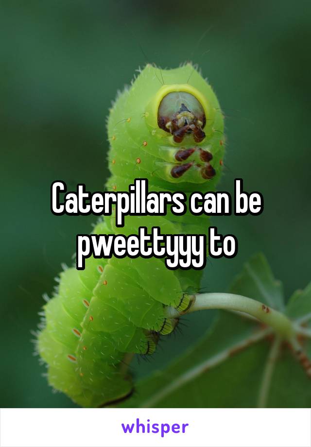 Caterpillars can be pweettyyy to