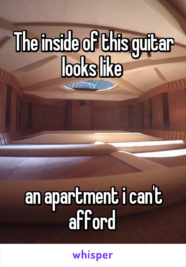 The inside of this guitar looks like 




an apartment i can't afford 
