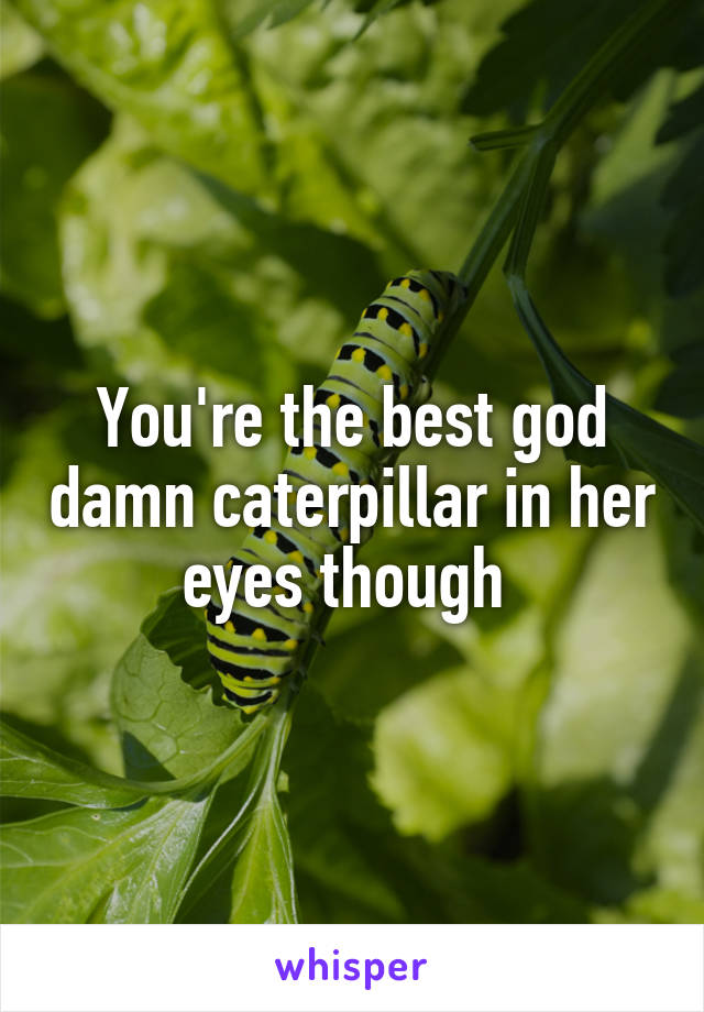 You're the best god damn caterpillar in her eyes though 