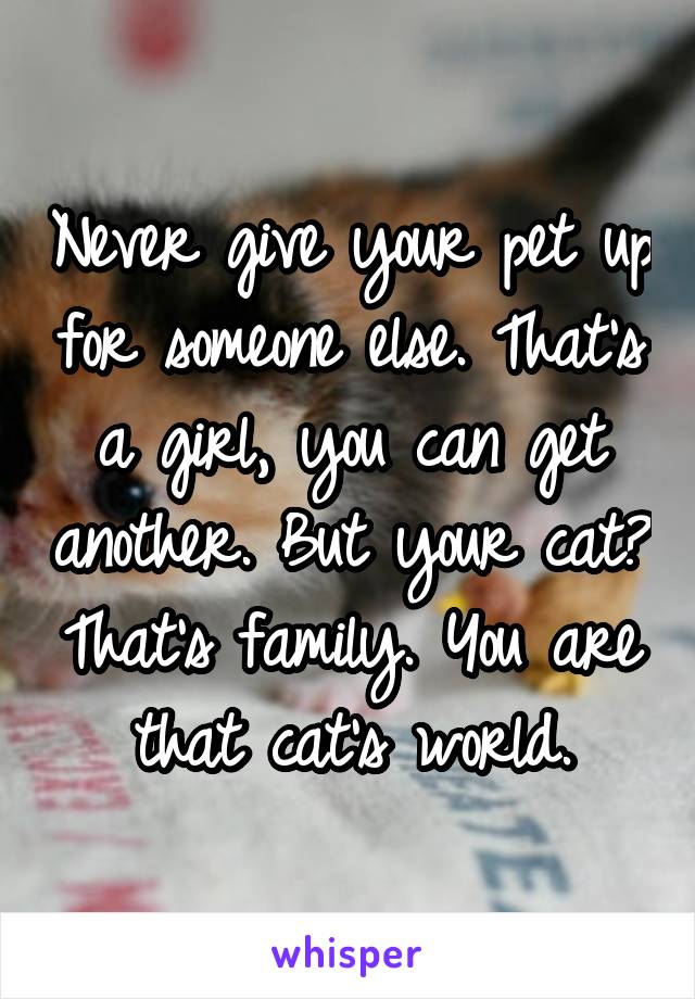 Never give your pet up for someone else. That's a girl, you can get another. But your cat? That's family. You are that cat's world.