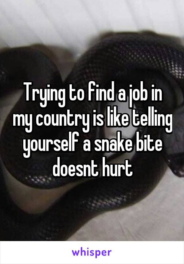 Trying to find a job in my country is like telling yourself a snake bite doesnt hurt