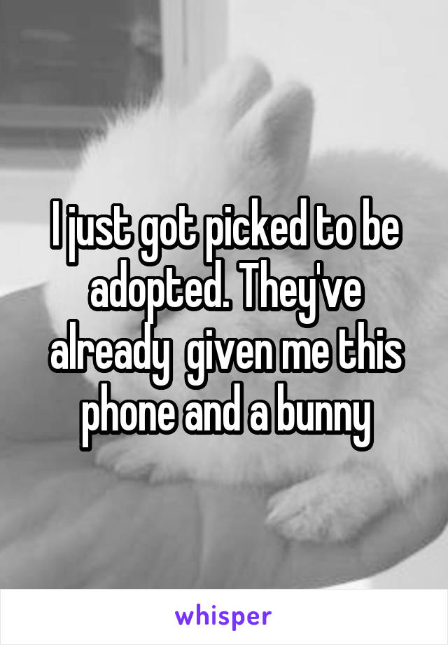 I just got picked to be adopted. They've already  given me this phone and a bunny