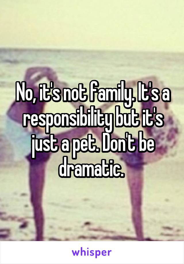 No, it's not family. It's a responsibility but it's just a pet. Don't be dramatic. 