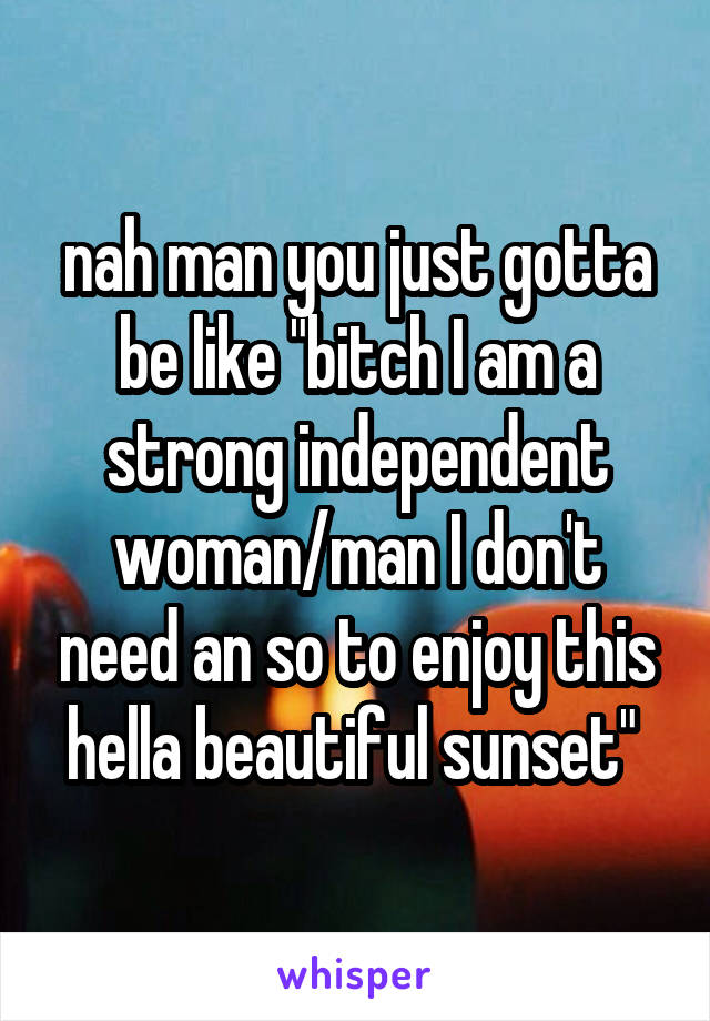 nah man you just gotta be like "bitch I am a strong independent woman/man I don't need an so to enjoy this hella beautiful sunset" 