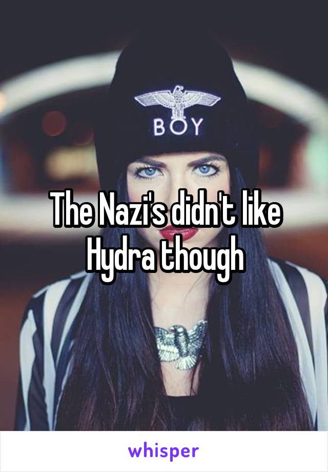 The Nazi's didn't like Hydra though