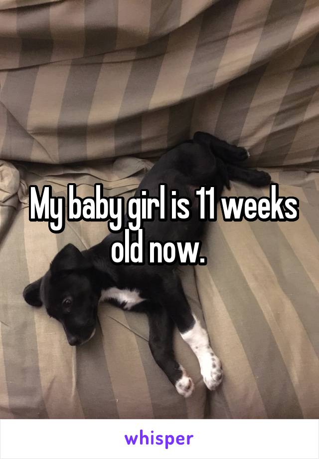  My baby girl is 11 weeks old now. 