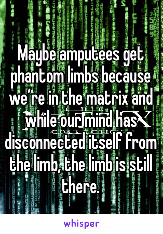 Maybe amputees get phantom limbs because we’re in the matrix and while our mind has disconnected itself from the limb, the limb is still there.