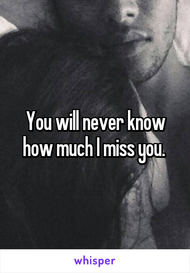 You will never know how much I miss you. 