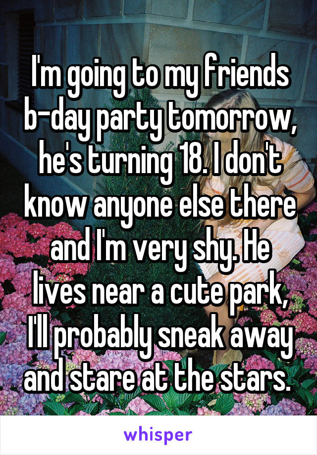 I'm going to my friends b-day party tomorrow, he's turning 18. I don't know anyone else there and I'm very shy. He lives near a cute park, I'll probably sneak away and stare at the stars. 