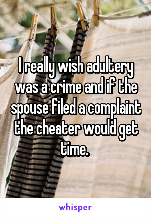 I really wish adultery was a crime and if the spouse filed a complaint the cheater would get time. 