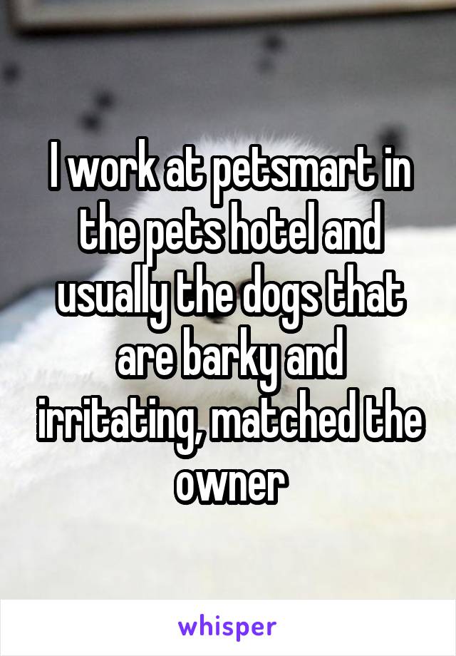 I work at petsmart in the pets hotel and usually the dogs that are barky and irritating, matched the owner