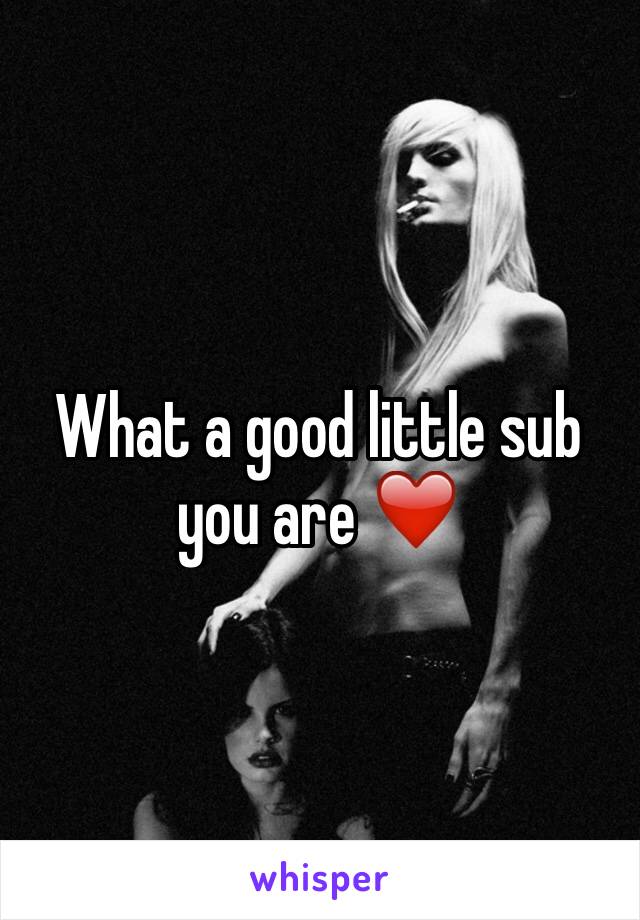 What a good little sub you are ❤️