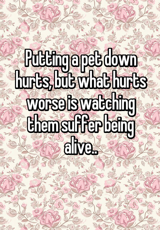 putting-a-pet-down-hurts-but-what-hurts-worse-is-watching-them-suffer