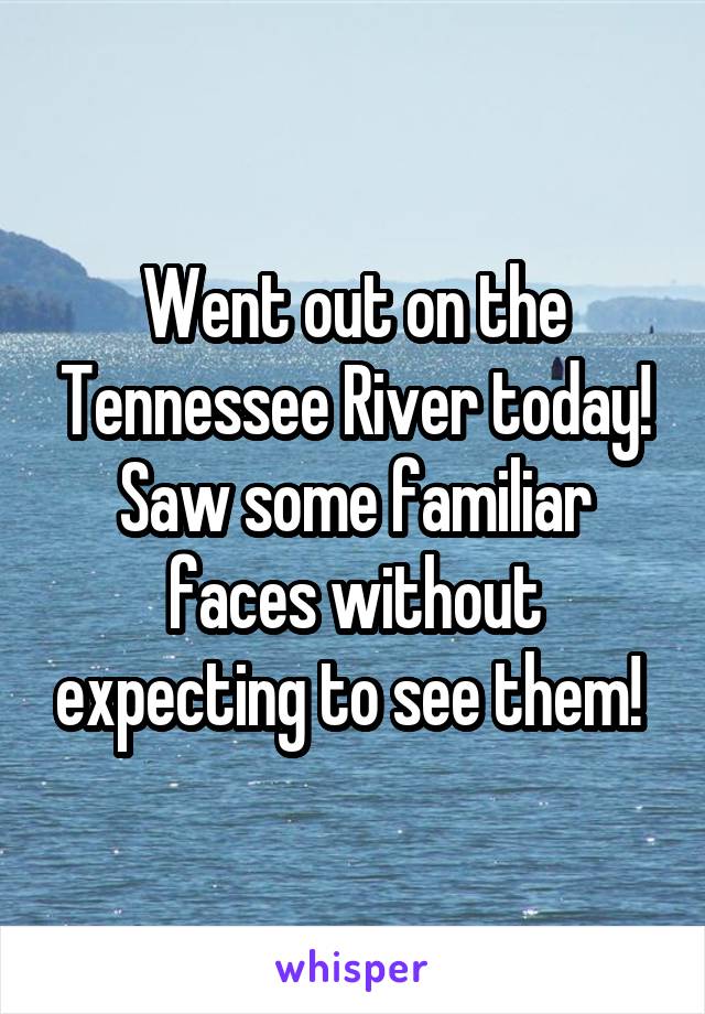 Went out on the Tennessee River today! Saw some familiar faces without expecting to see them! 