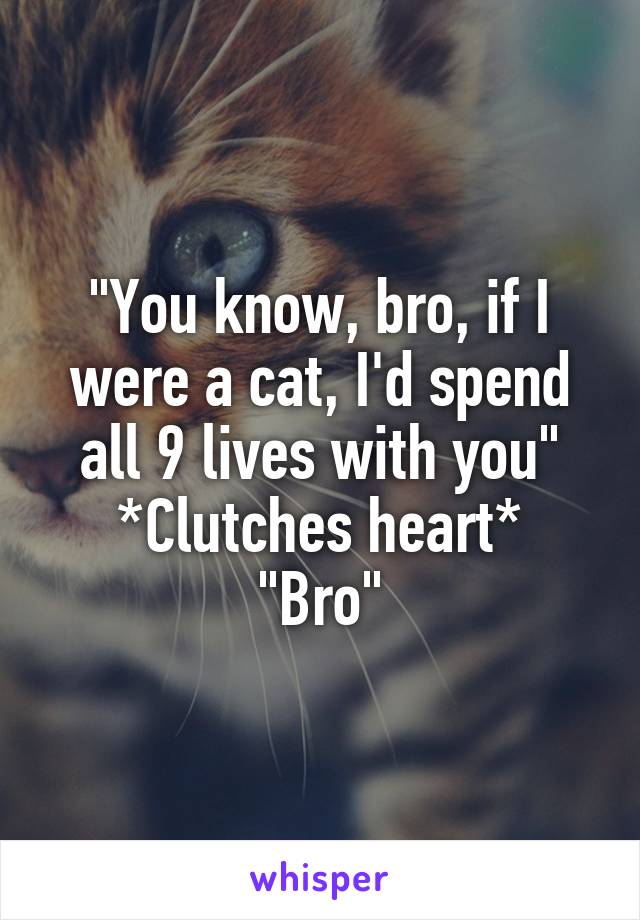 "You know, bro, if I were a cat, I'd spend all 9 lives with you"
*Clutches heart*
"Bro"