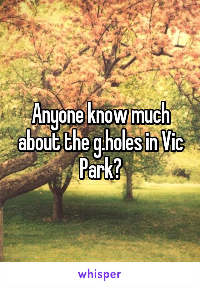 Anyone know much about the g.holes in Vic Park?