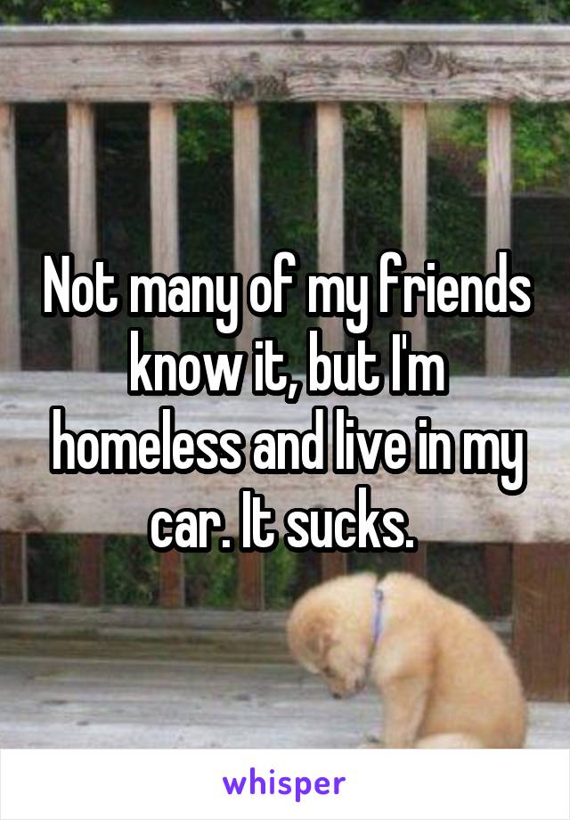 Not many of my friends know it, but I'm homeless and live in my car. It sucks. 