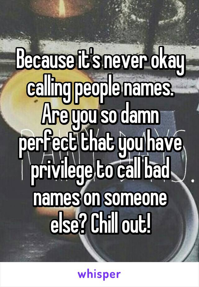 Because it's never okay calling people names. Are you so damn perfect that you have privilege to call bad names on someone else? Chill out!