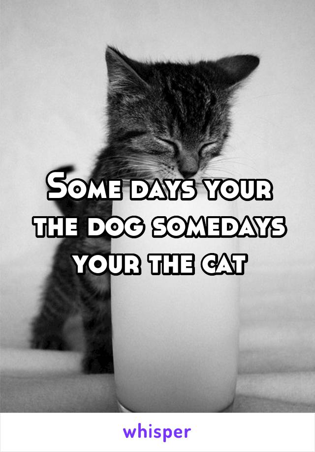 Some days your the dog somedays your the cat