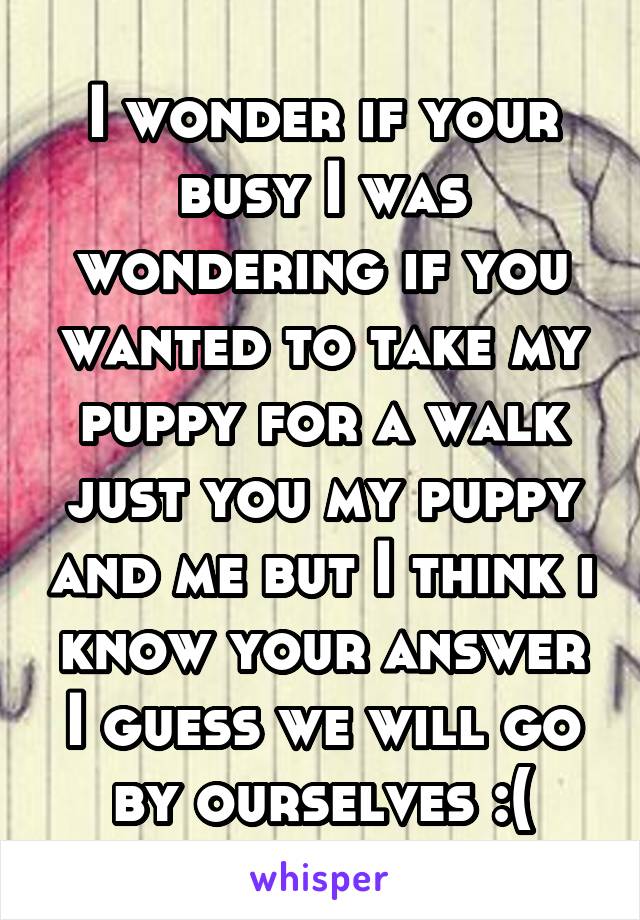 I wonder if your busy I was wondering if you wanted to take my puppy for a walk just you my puppy and me but I think i know your answer I guess we will go by ourselves :(