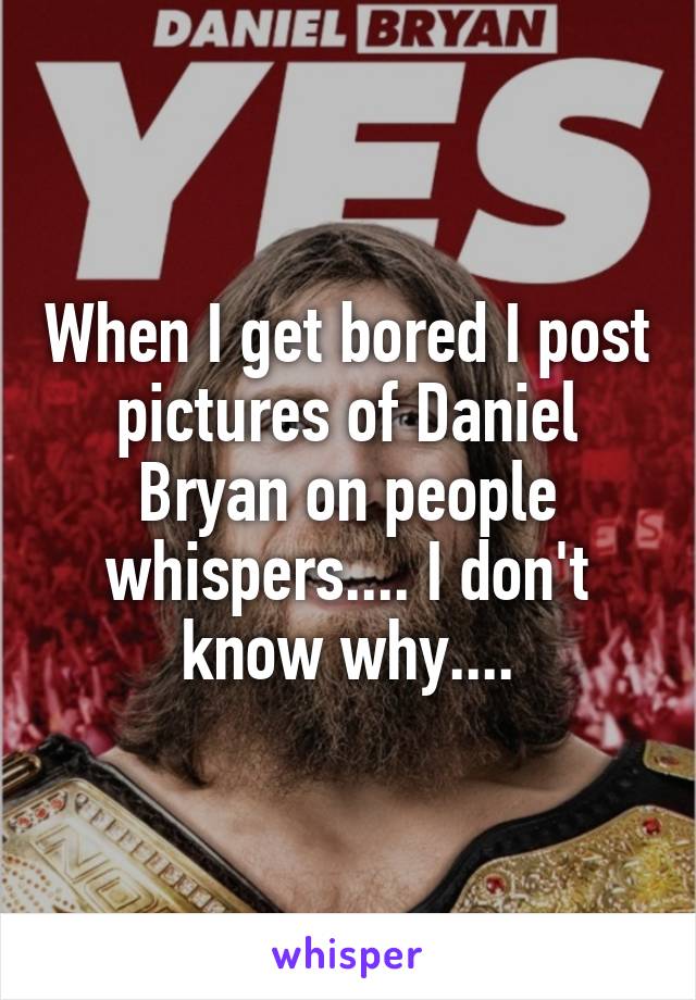 When I get bored I post pictures of Daniel Bryan on people whispers.... I don't know why....