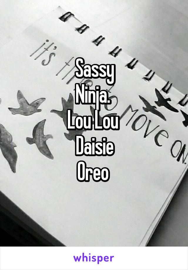 Sassy
Ninja. 
Lou Lou 
Daisie
Oreo 
