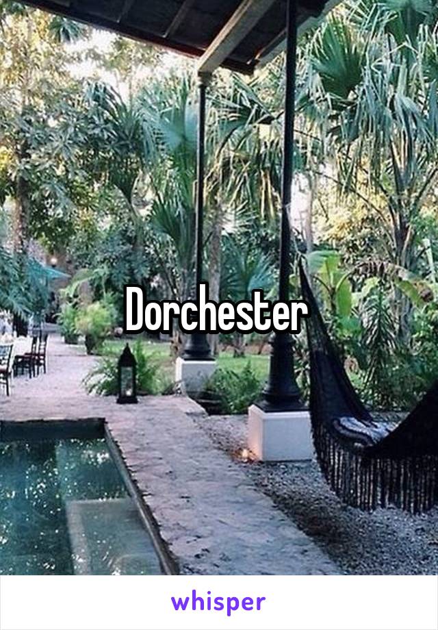 Dorchester 