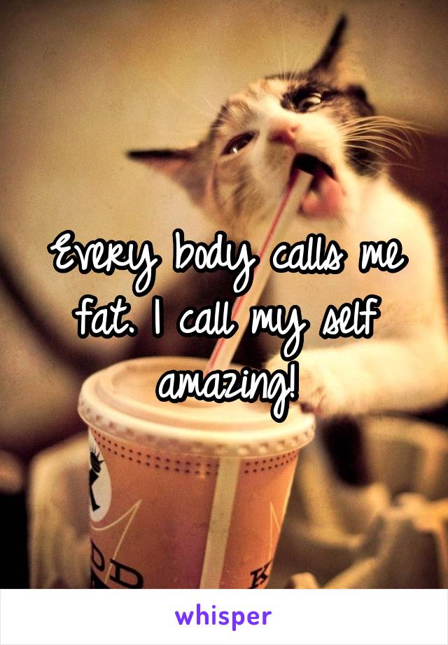 Every body calls me fat. I call my self amazing!