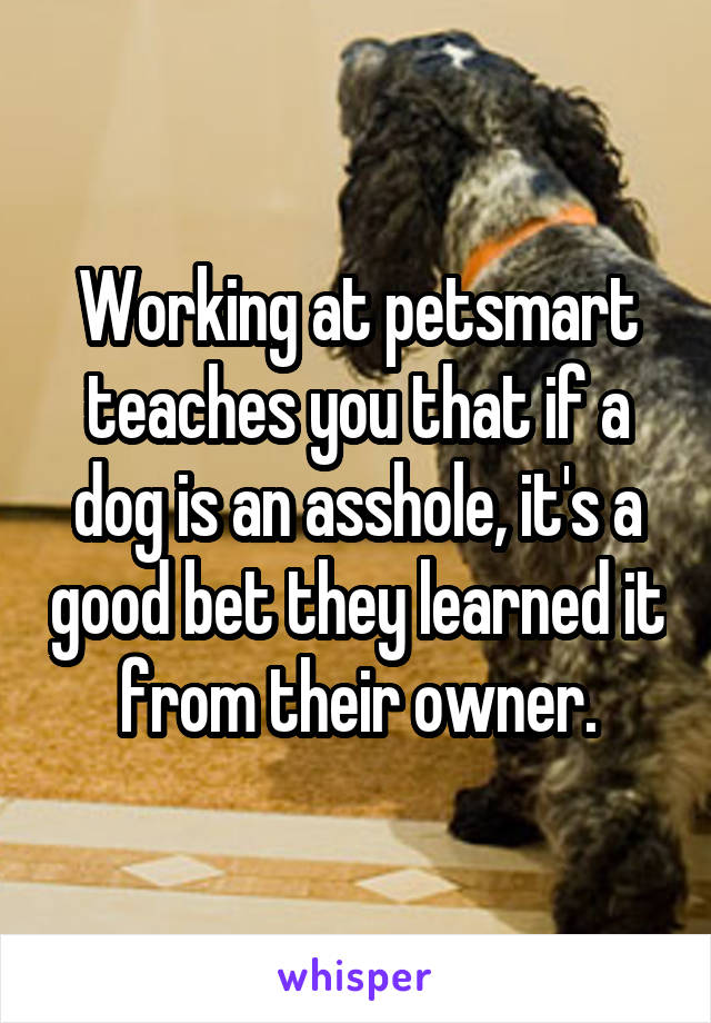 Working at petsmart teaches you that if a dog is an asshole, it's a good bet they learned it from their owner.