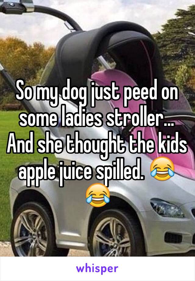 So my dog just peed on some ladies stroller... And she thought the kids apple juice spilled. 😂😂