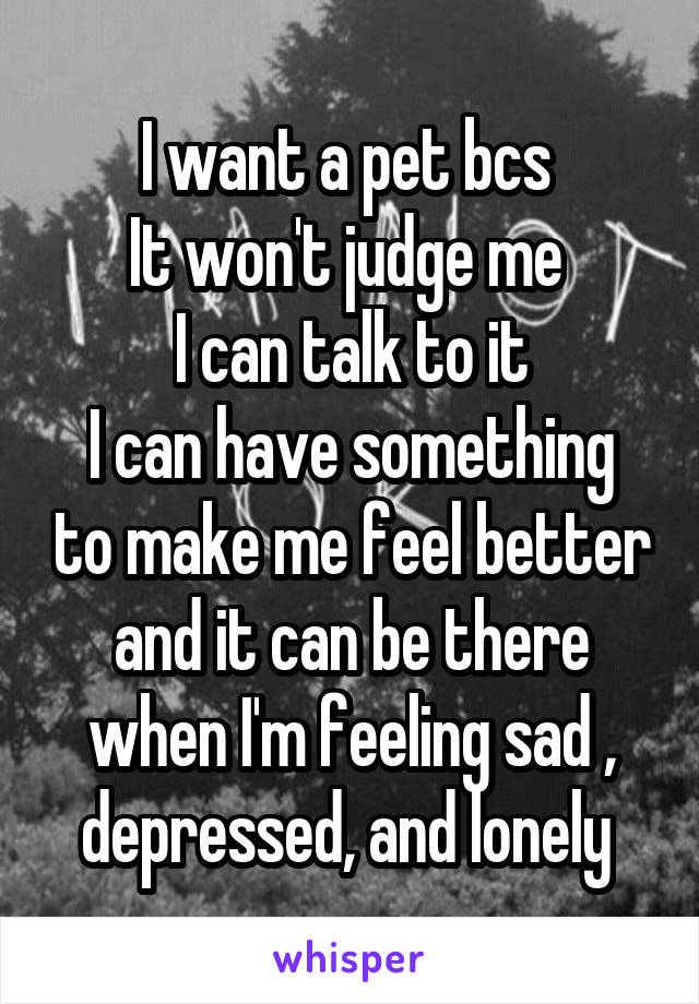 I want a pet bcs 
It won't judge me 
I can talk to it
I can have something to make me feel better and it can be there when I'm feeling sad , depressed, and lonely 