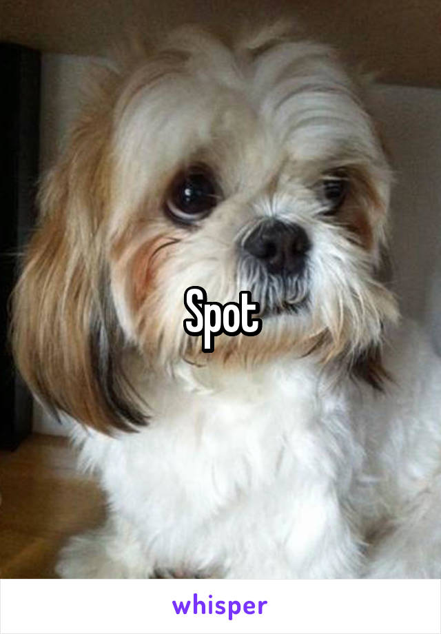 Spot
