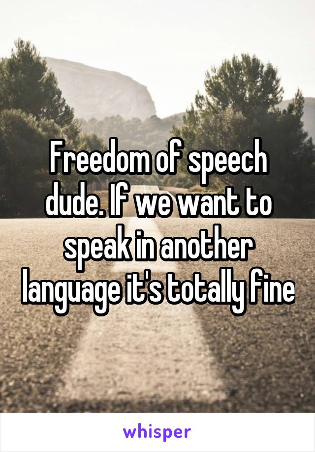 Freedom of speech dude. If we want to speak in another language it's totally fine