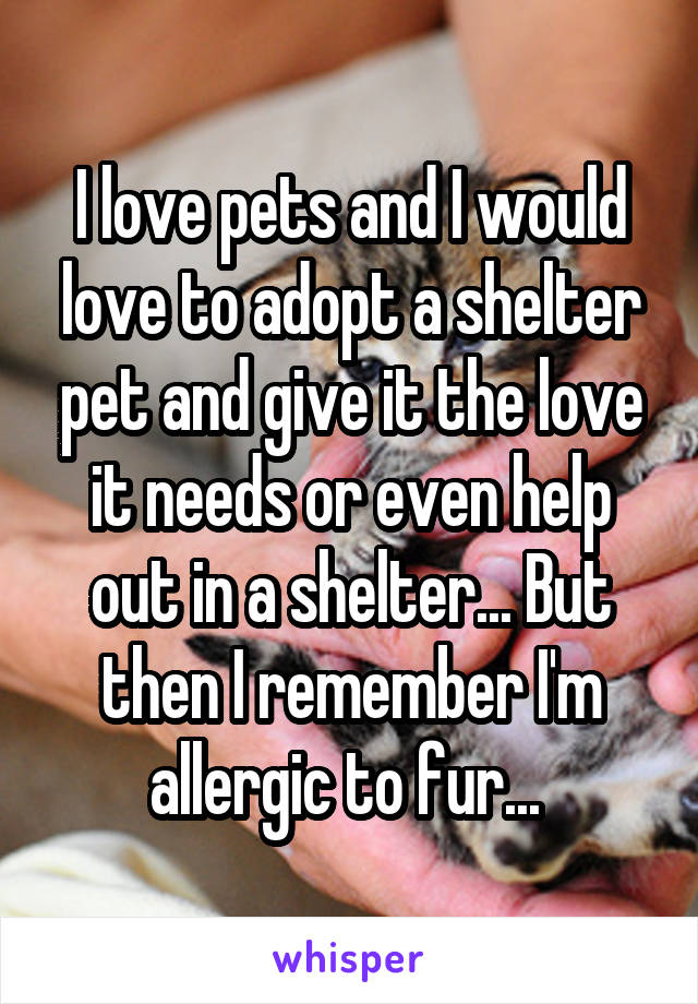 I love pets and I would love to adopt a shelter pet and give it the love it needs or even help out in a shelter... But then I remember I'm allergic to fur... 