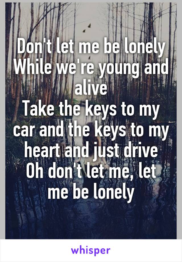 Don't let me be lonely While we're young and alive
Take the keys to my car and the keys to my heart and just drive
Oh don't let me, let me be lonely
